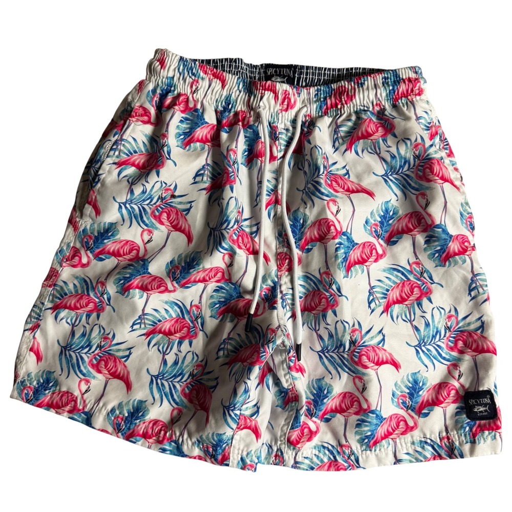 Spicy Tuna Boys Swim Trunks Small Flamingo Tropical Palm Print Mesh Lined Shorts